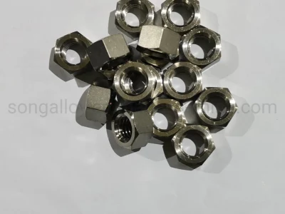 GB 6170 Tuerca hexagonal M20 en acero inoxidable y titanio Ta2